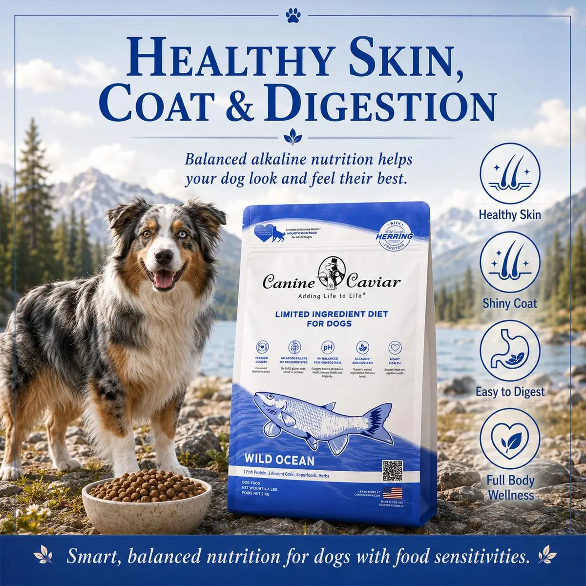 Canine Caviar Wild Ocean Dry Dog Food Herring & Teff 22 lb | Alkaline, Limited Ingredient, Natural Nutrition - view 4