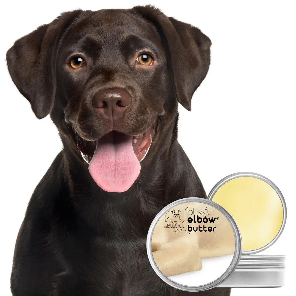 The Blissful Dog Elbow Butter for Dry, Cracked Calluses 29.57ml (1 oz) | Lick-Safe Dog Balm for Dry Elbows - view 2
