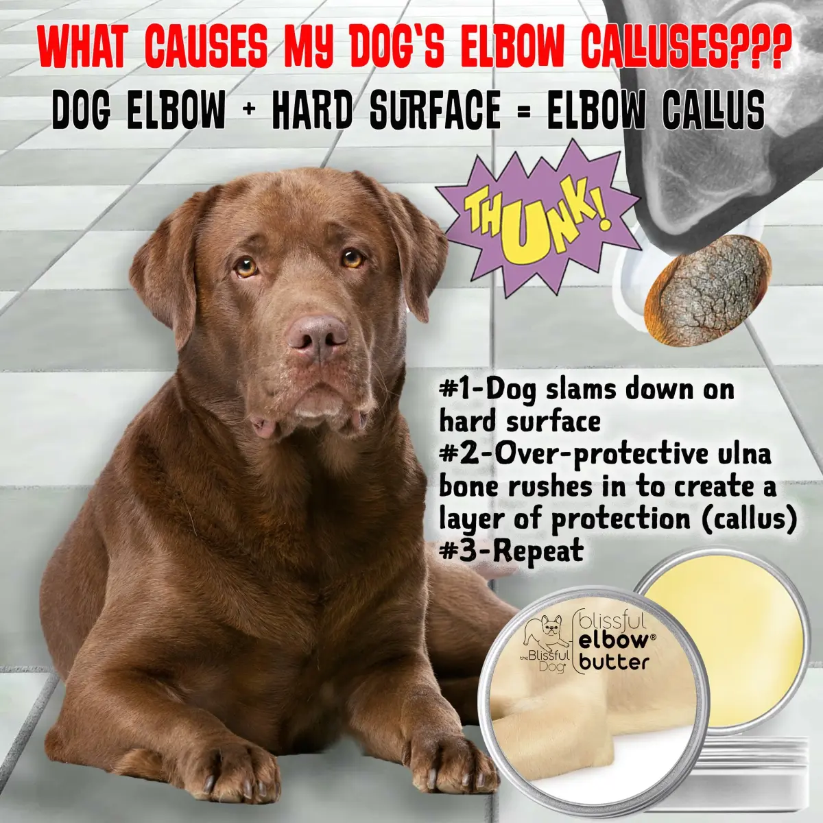 The Blissful Dog Elbow Butter Balm for Dry, Cracked Calluses 59ml (2 oz) | Lick-Safe Dog Balm for Soothing Elbows - view 5