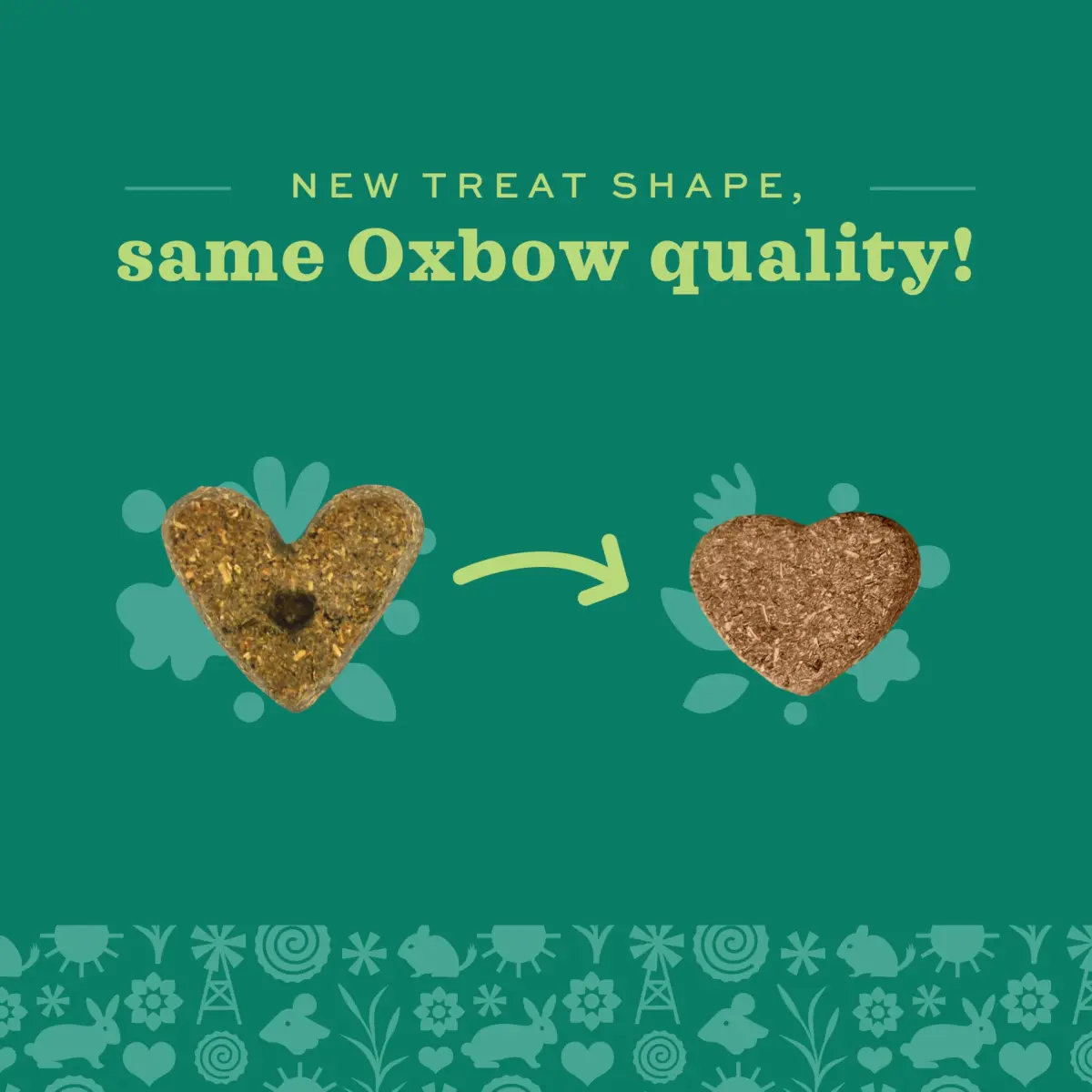 Oxbow Simple Rewards Apple Banana Treats for Rabbits & Guinea Pigs, 85g (3 oz) | High Fiber Baked Snack - view 6
