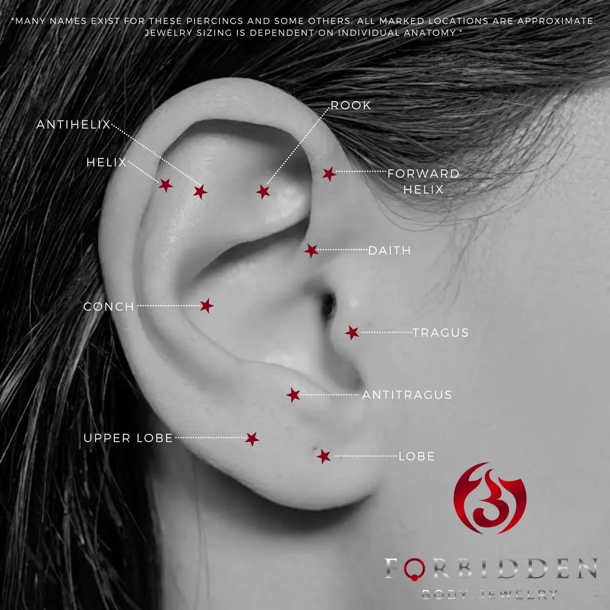 Forbidden Body Jewelry 16g 8mm Daith Earring, Eyebrow Ring & Rook Piercing | Internally Threaded Red CZ Barbell - view 3