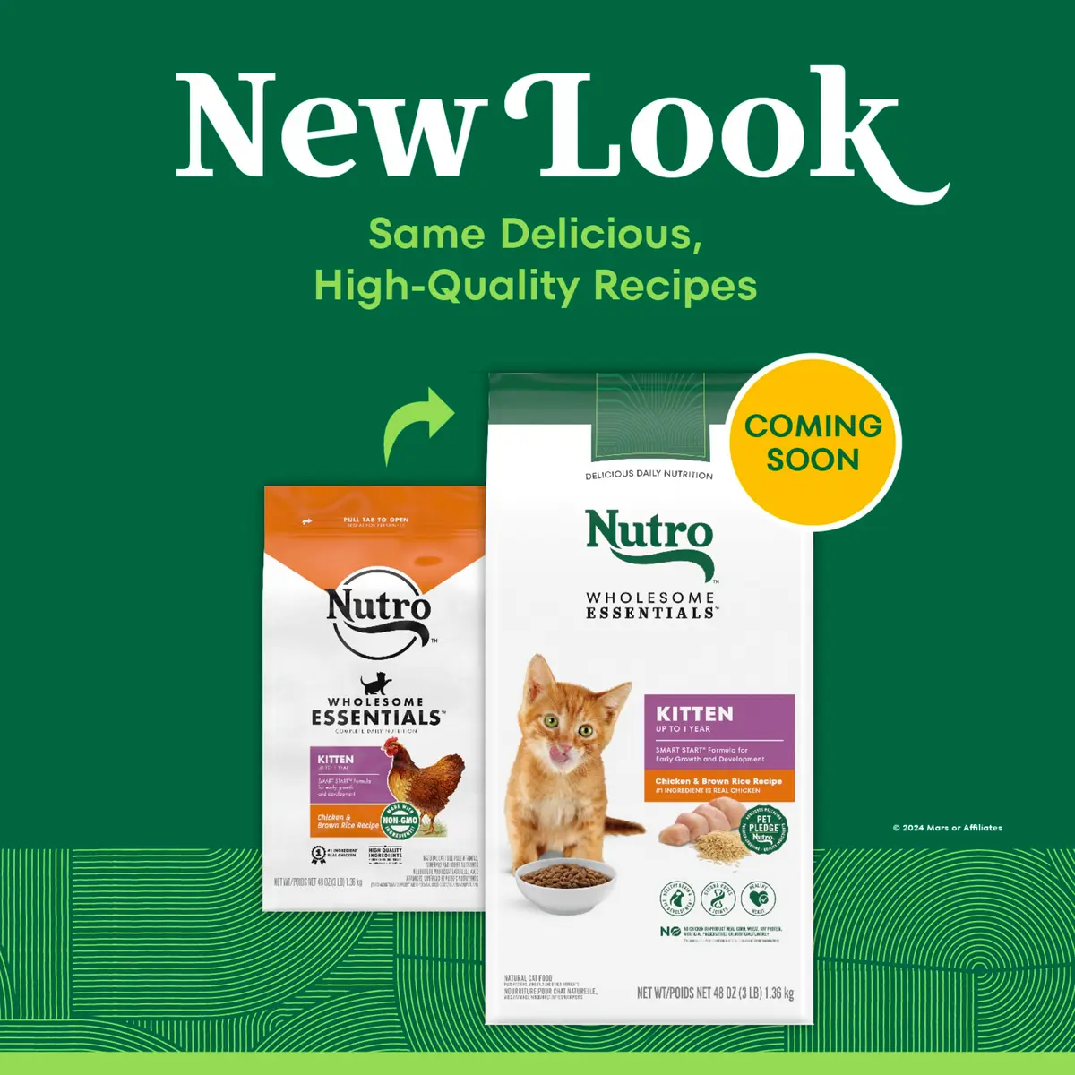 Nutro Wholesome Essentials Kitten Dry Cat Food, Chicken & Rice, 3 lb | Complete Nutrition for Growing Kittens - view 2
