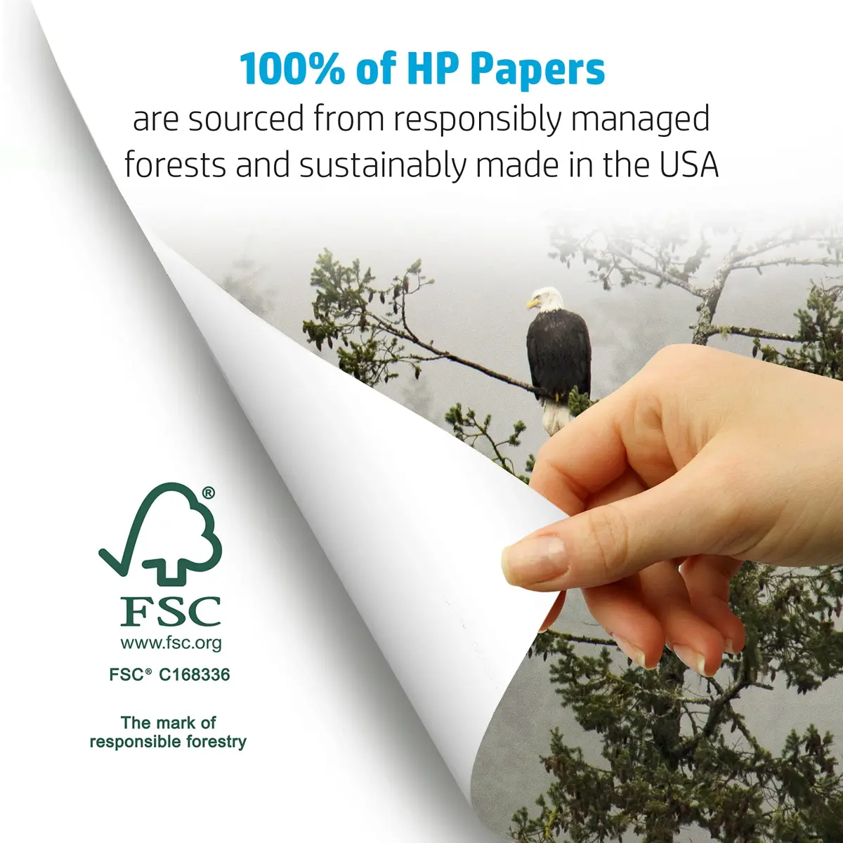 HP Papers Copy & Print 20 lb Letter Size Paper 3000 Sheets (8.5 x 11 Inches) | 92 Bright FSC Certified - view 6