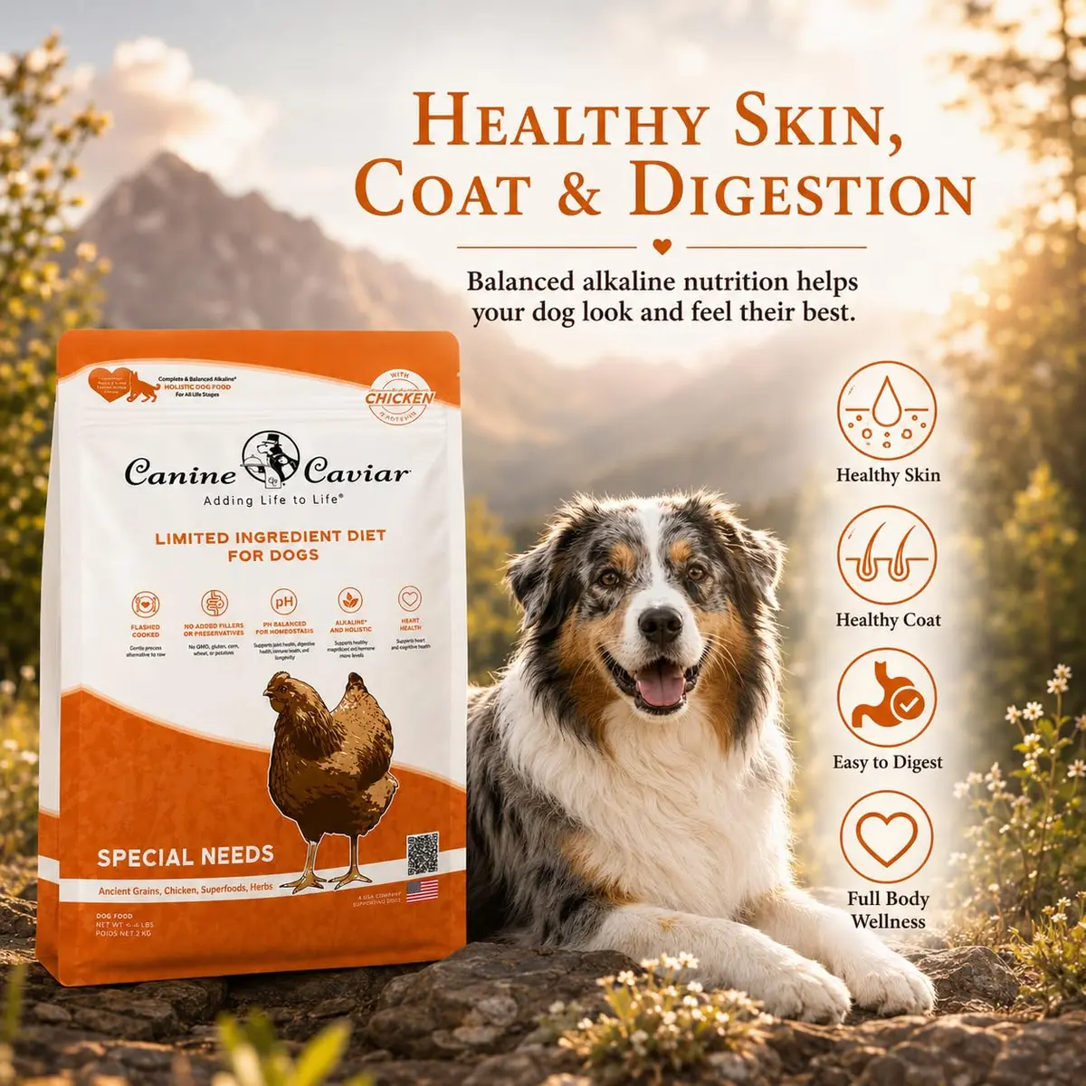 Canine Caviar Special Needs Dry Dog Food Chicken & Brown Rice 22 lb | Alkaline, Sensitive Digestive Support - view 4