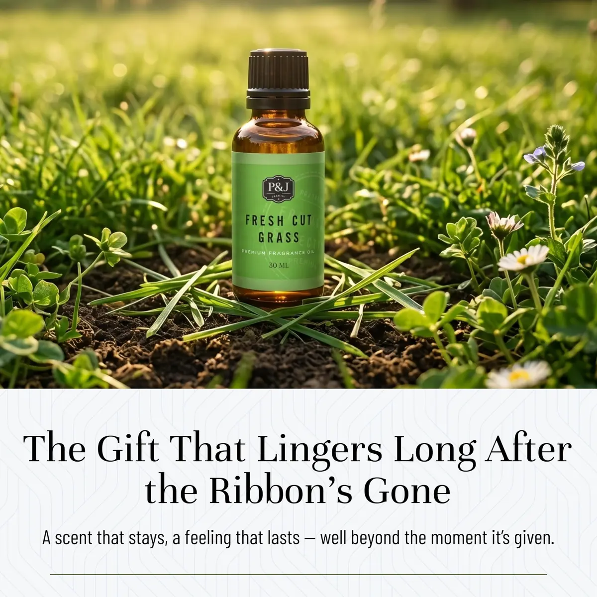 P&J Trading Fragrance Oil | Fresh Cut Grass 30ml for Candle Making & DIY Crafts - view 5