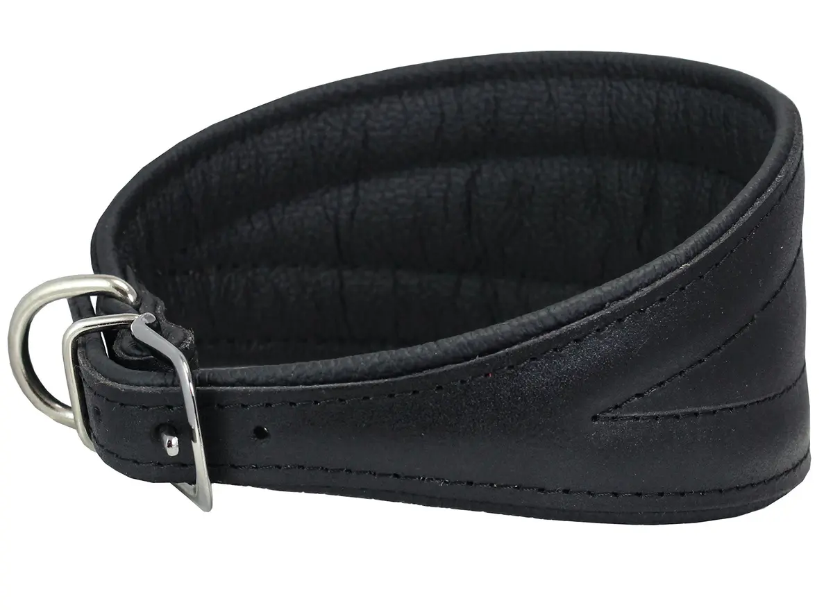 Dogs My Love Real Leather Extra Wide Padded Tapered Dog Collar 16.75"-20" Neck | Durable & Comfortable - main product image