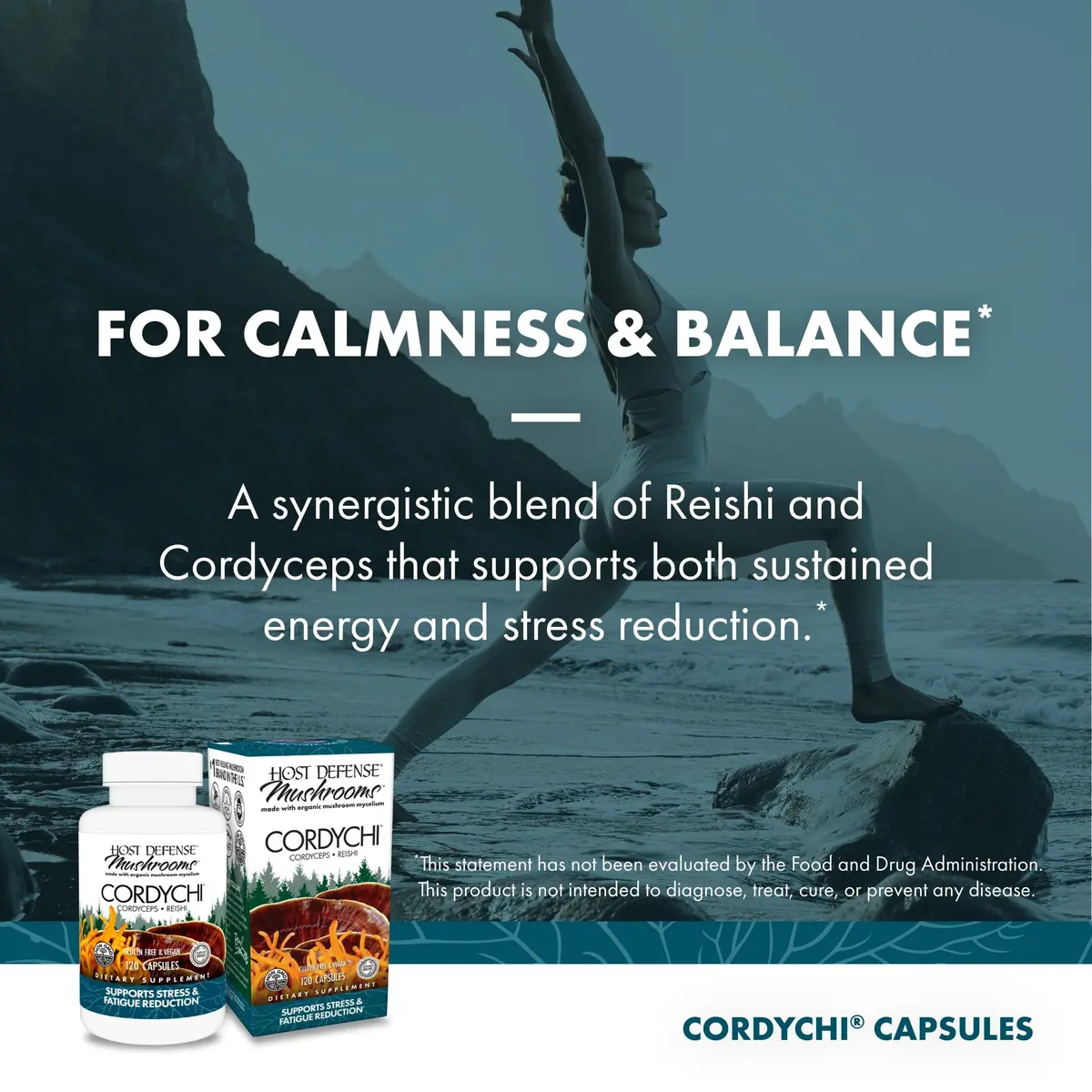 Host Defense CordyChi Capsules 120 Count | Immune Support & Energy Boost with Cordyceps & Reishi - view 5
