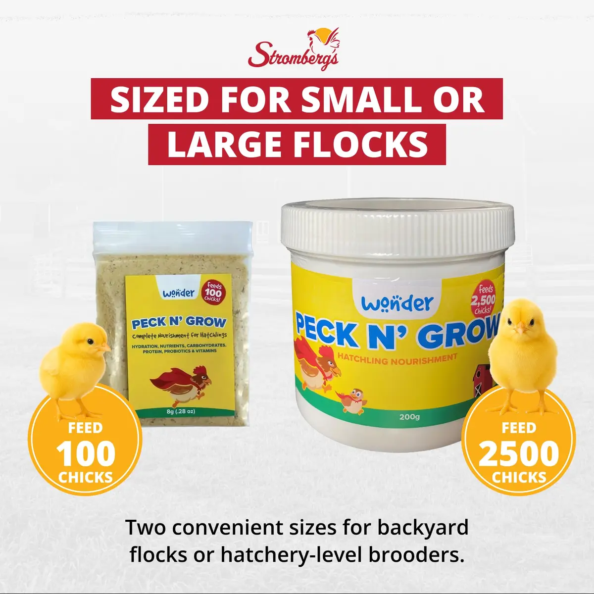 Stromberg's Peck n' Grow 0.28 oz Pack for 100 Chicks | Supports Early Chick Development - view 5