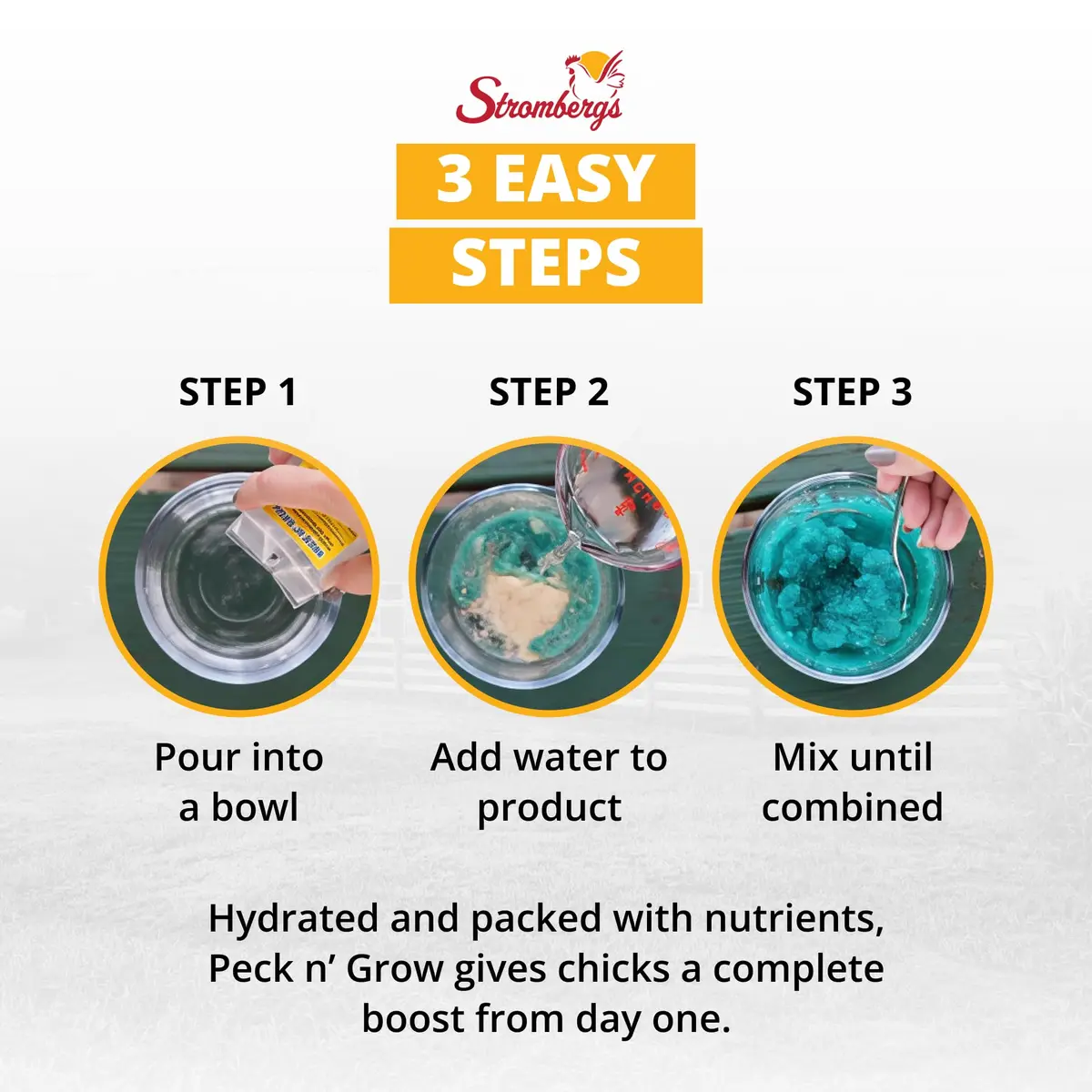Stromberg's Peck n' Grow 0.28 oz Pack for 100 Chicks | Supports Early Chick Development - view 6