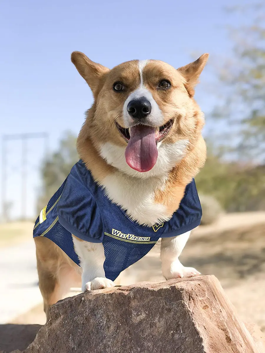 Pets First NCAA College West Virginia Mountaineers Mesh Jersey for DOGS & CATS Small | Licensed Dog Jersey with your Favorite Football Team - view 4