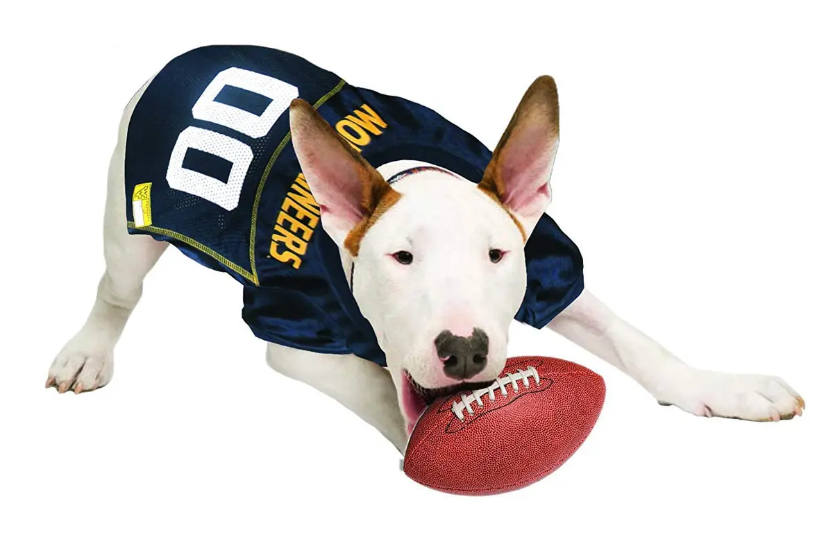 Pets First NCAA College West Virginia Mountaineers Mesh Jersey for DOGS & CATS Small | Licensed Dog Jersey with your Favorite Football Team - view 2