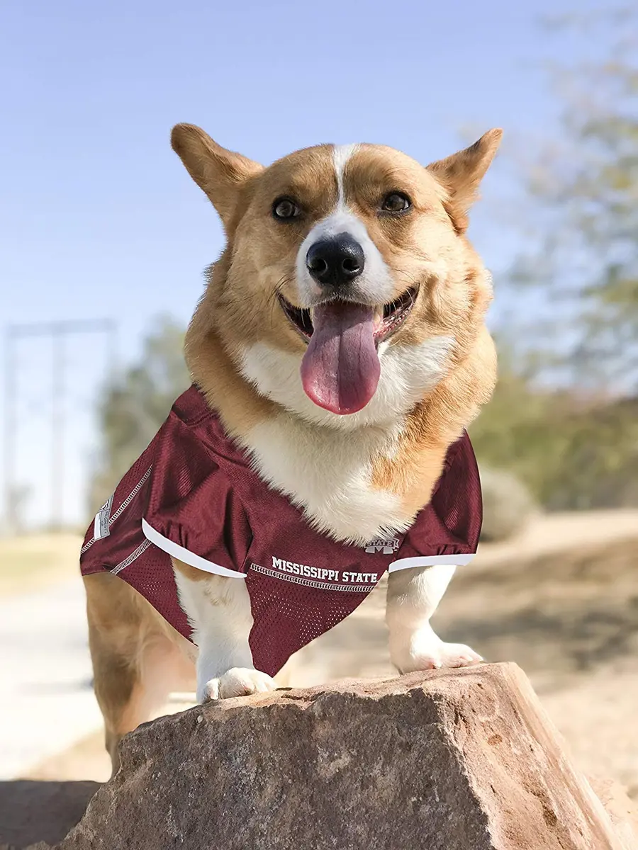 Pets First NCAA College Mississippi State Bulldogs Mesh Jersey for DOGS & CATS Large | Licensed Dog Jersey with your Favorite Football Team - view 4