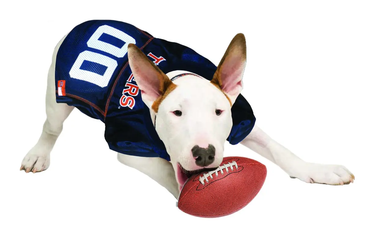 Pets First NCAA College Auburn Tigers Mesh Jersey for DOGS & CATS, Medium | Licensed Dog Jersey with College Team - view 3