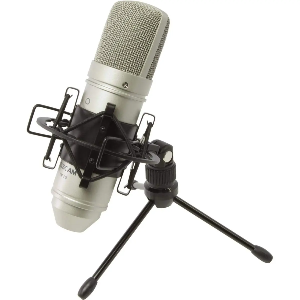 Tascam TM-80 Large Diaphagm Condenser Microphone, Silver | Home Recording & Studio Quality - main product image
