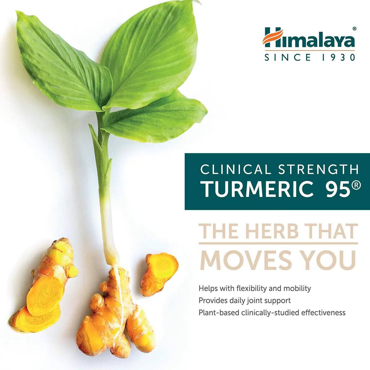 Himalaya Turmeric 95 Curcumin Supplement 600 mg | Supports Joint & Immune Health - view 3
