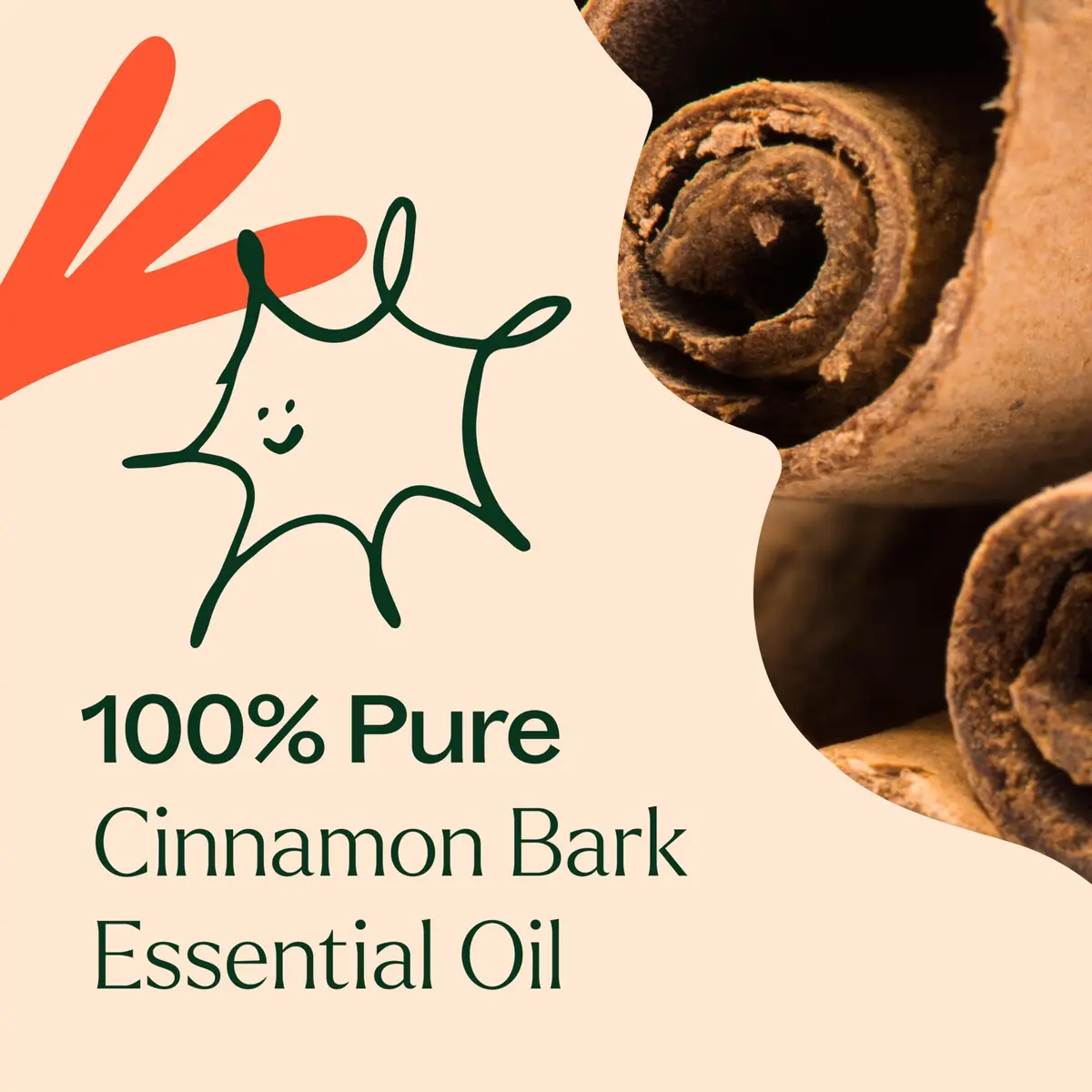 Plant Therapy Cinnamon Bark Essential Oil 10 mL | Pure, Undiluted Cinnamon Oil for Diffuser & Blends - view 5