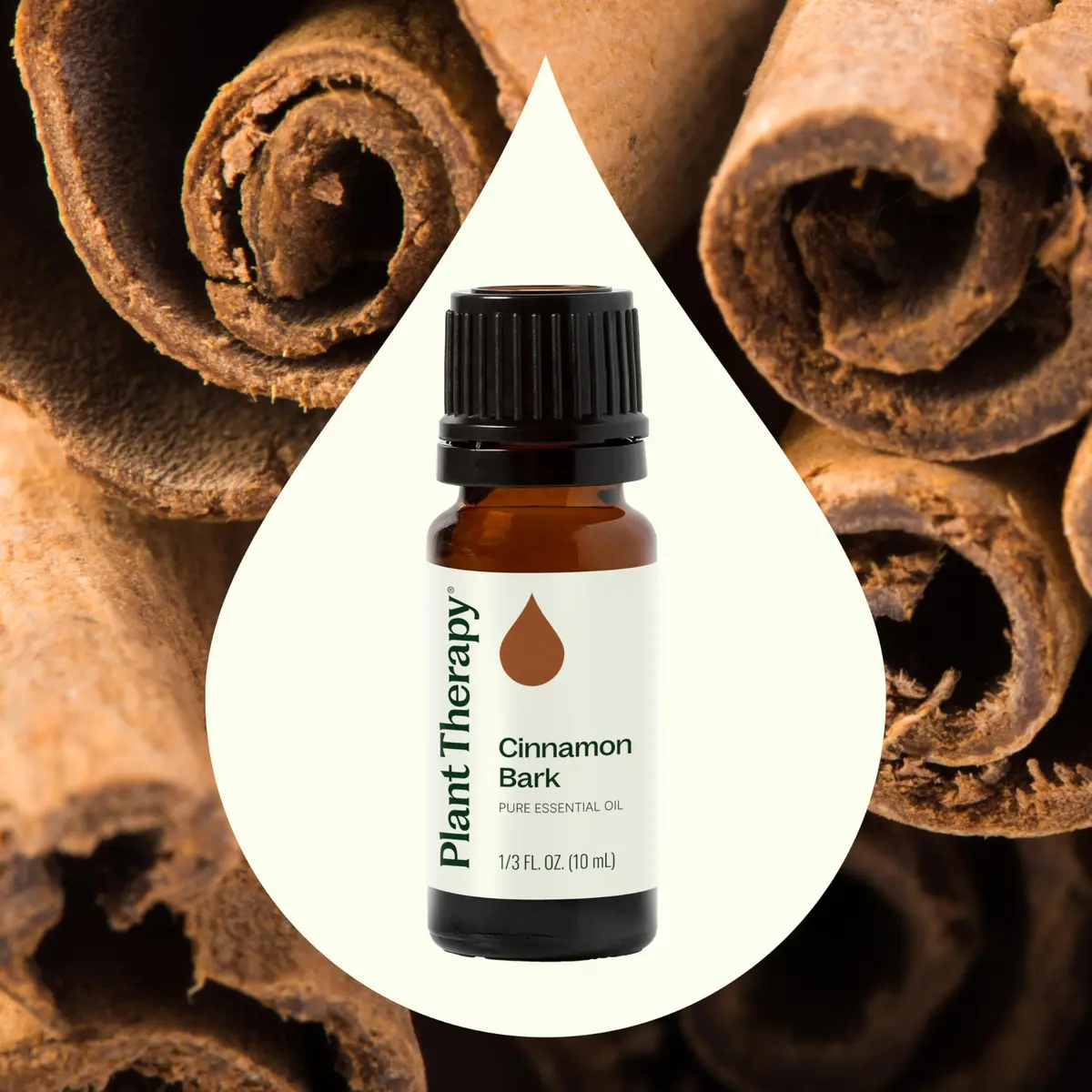 Plant Therapy Cinnamon Bark Essential Oil 10 mL | Pure, Undiluted Cinnamon Oil for Diffuser & Blends - view 3