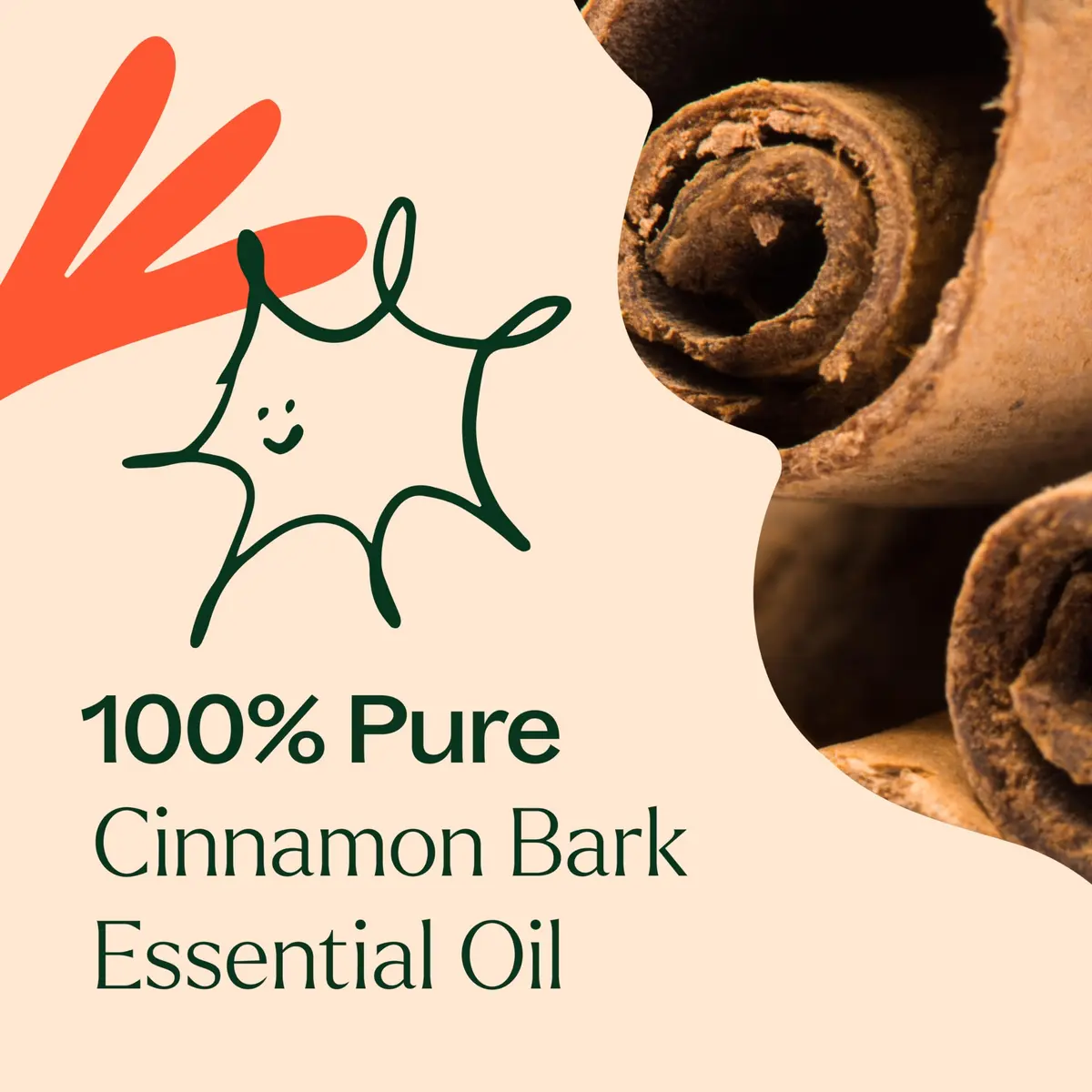 Plant Therapy Cinnamon Bark Essential Oil 30 mL (1 oz) | Stimulating Aroma for Indian Homes - view 5