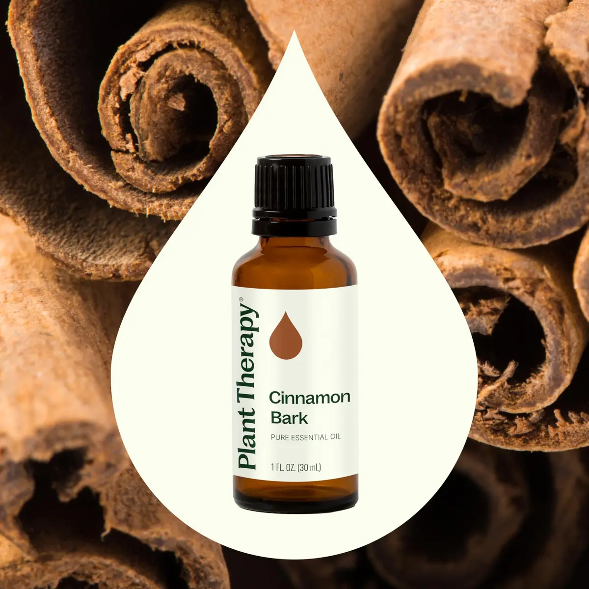 Plant Therapy Cinnamon Bark Essential Oil 30 mL (1 oz) | Stimulating Aroma for Indian Homes - view 3