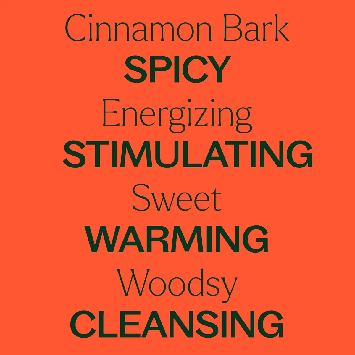 Plant Therapy Cinnamon Bark Essential Oil 30 mL (1 oz) | Stimulating Aroma for Indian Homes - view 4