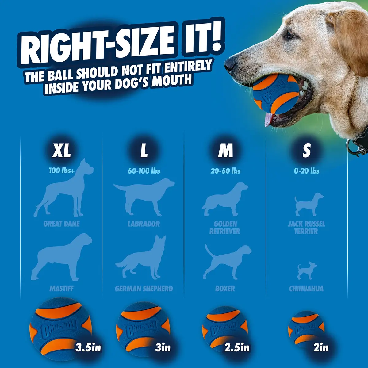 Chuckit! Ultra Squeaker Ball Fetch Toy Medium 7.6 cm (3 in) | Durable Natural Rubber Dog Toy - view 6