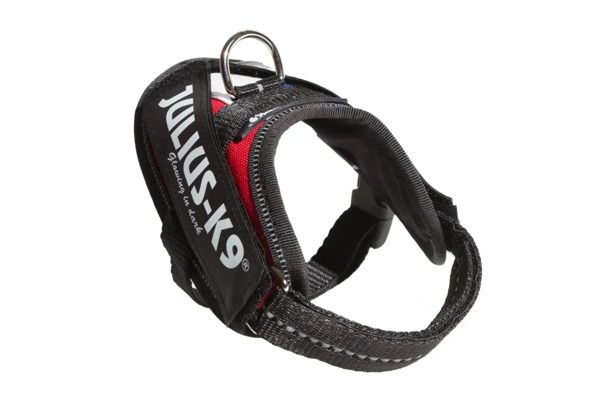 Julius-K9 IDC Powerharness Baby 1 (2-6.5 lbs / 0.8-3 kg) | European-Made Dog Harness with Reflective Safety - main product image