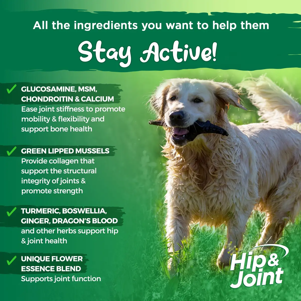 Vital Planet Hip & Joint Supplement for Dogs | Herbal Blend with Glucosamine & MSM (60 Chewable Tabs) - view 3