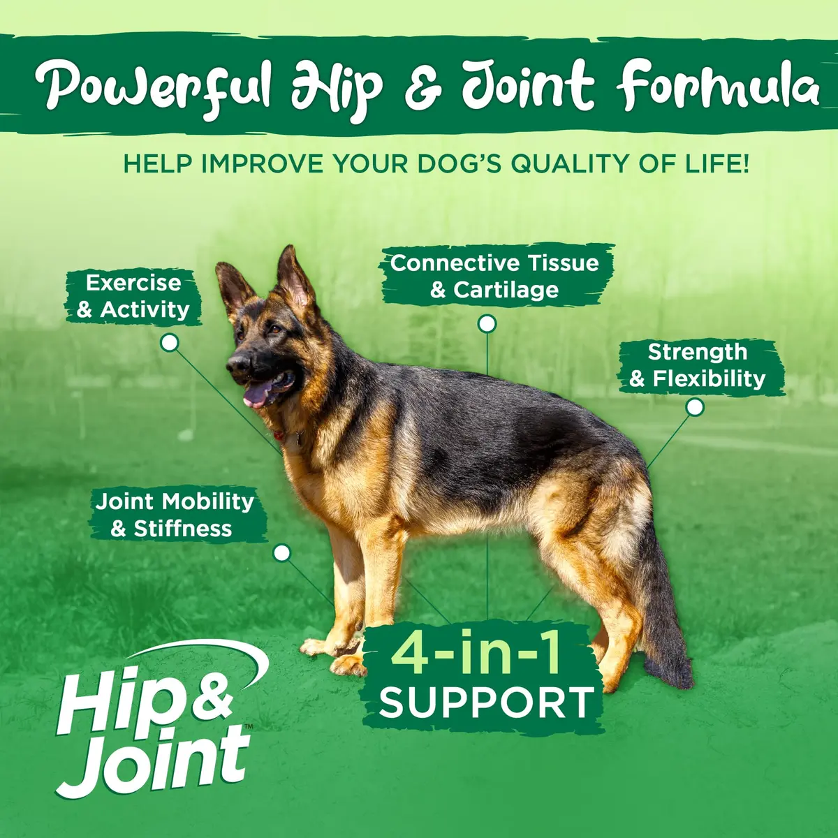 Vital Planet Hip & Joint Supplement for Dogs | Herbal Blend with Glucosamine & MSM (60 Chewable Tabs) - view 4