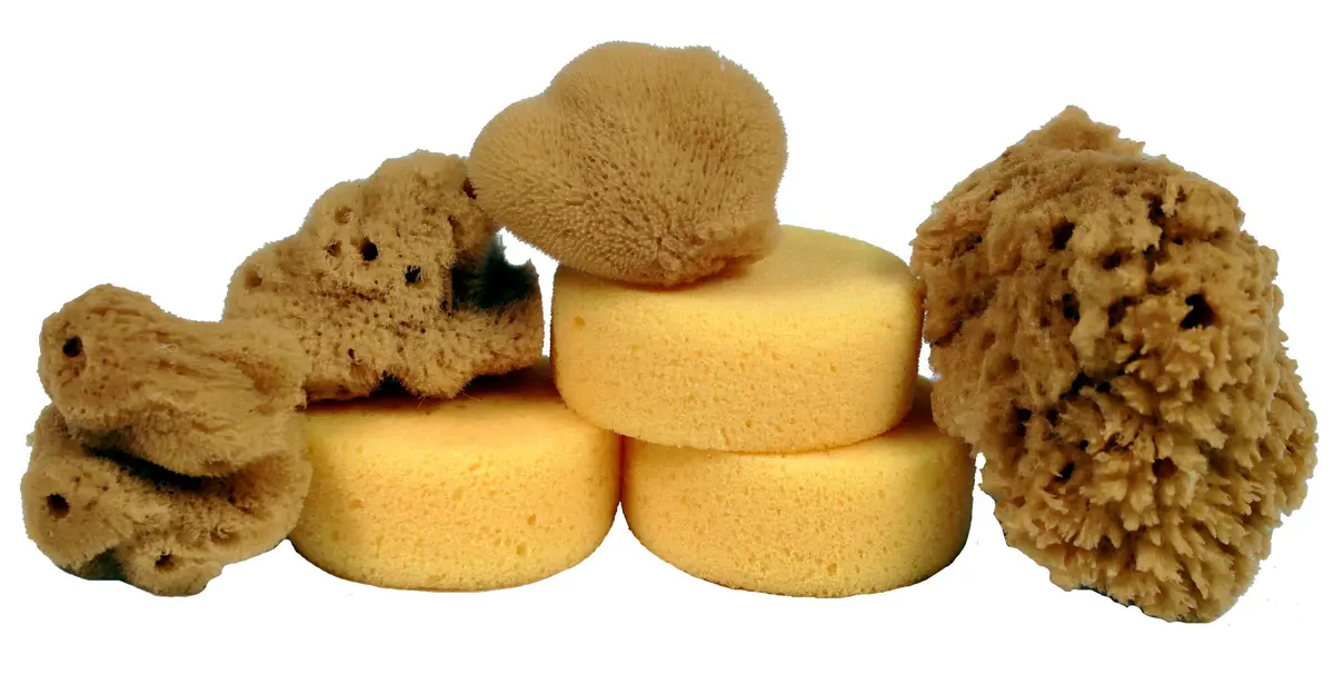 Creative Hobbies Synthetic and Natural Silk Sponges for Painting, Crafts, Ceramics, Pottery and More, Value Pack of 7 Sponges - main product image