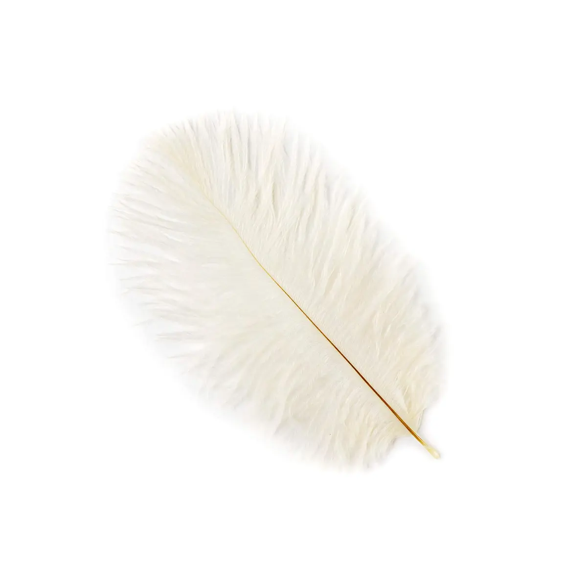 Zucker Ostrich Feather Craft Supplies 4-8 inch | Natural Colorful DIY Wedding Decor - main product image