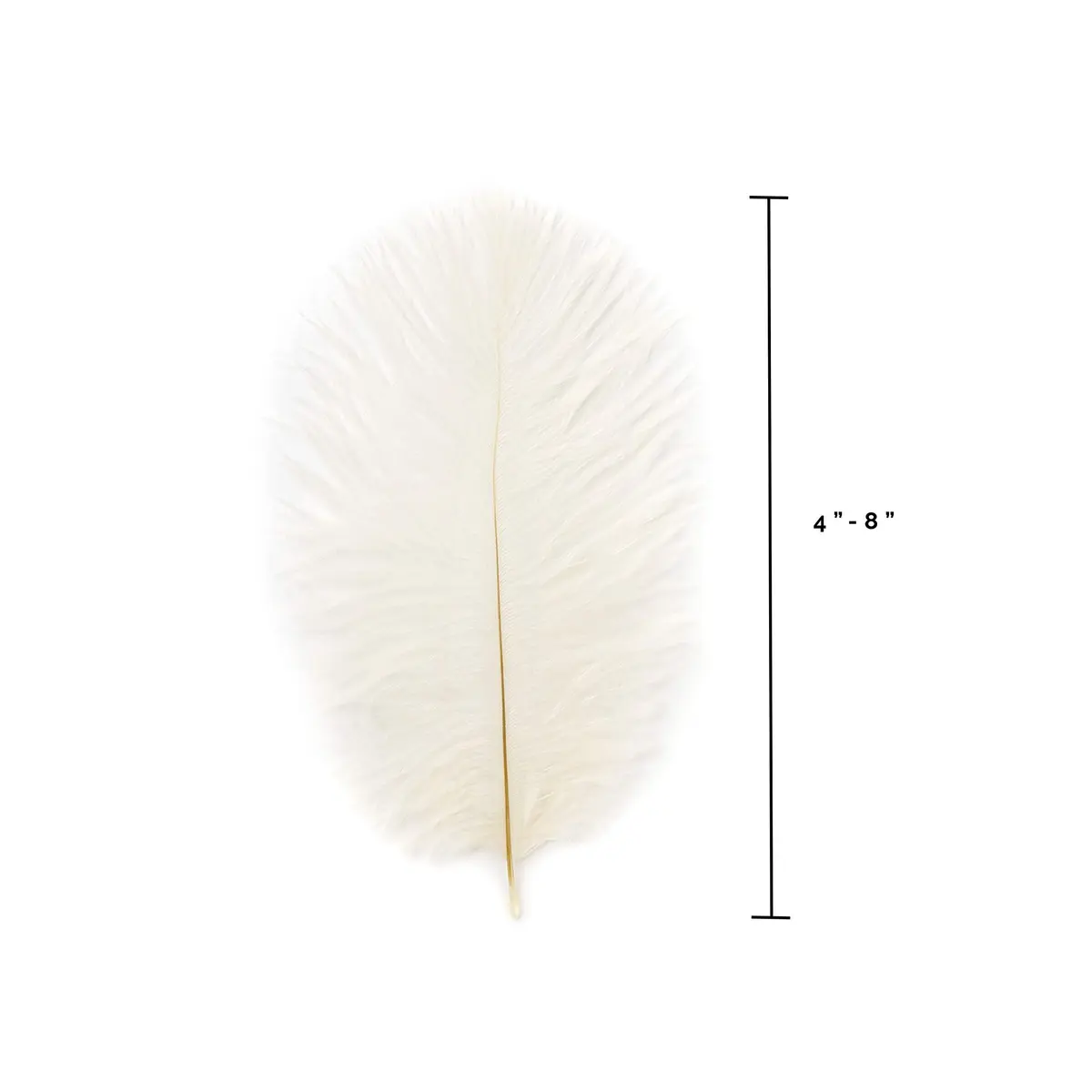 Zucker Ostrich Feather Craft Supplies 4-8 inch | Natural Colorful DIY Wedding Decor - view 5