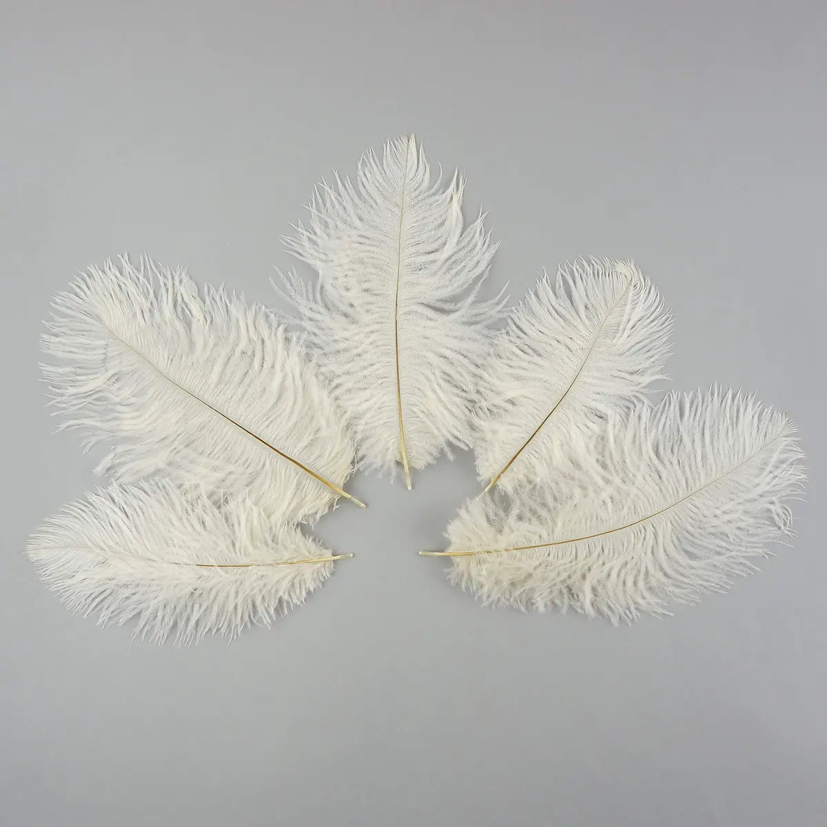 Zucker Ostrich Feather Craft Supplies 4-8 inch | Natural Colorful DIY Wedding Decor - view 3