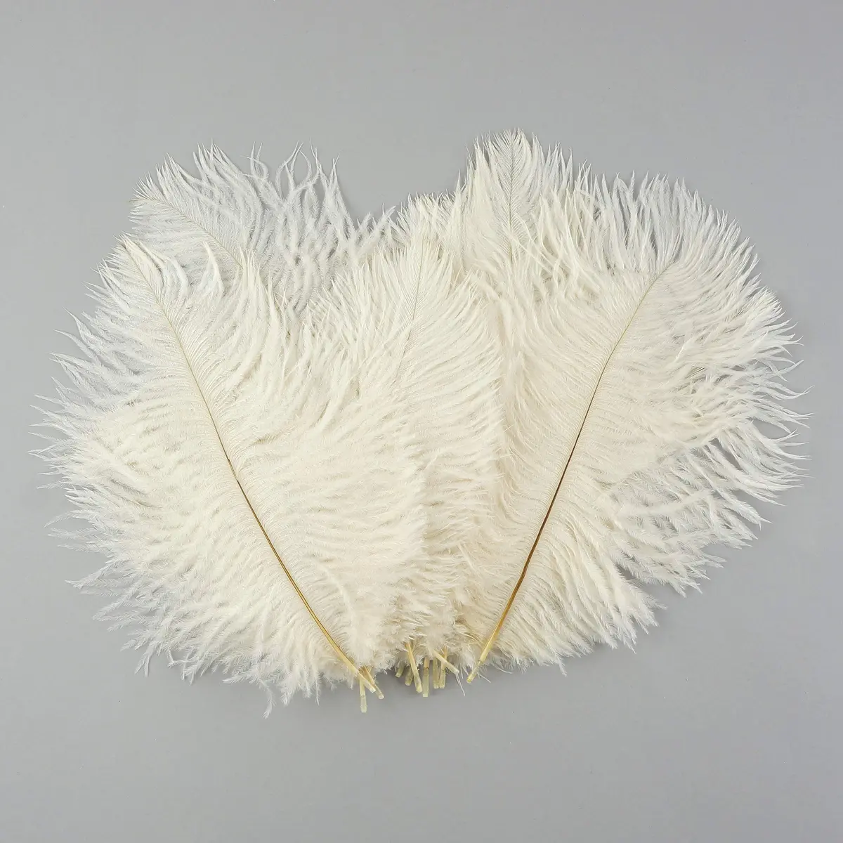 Zucker Ostrich Feather Craft Supplies 4-8 inch | Natural Colorful DIY Wedding Decor - view 4