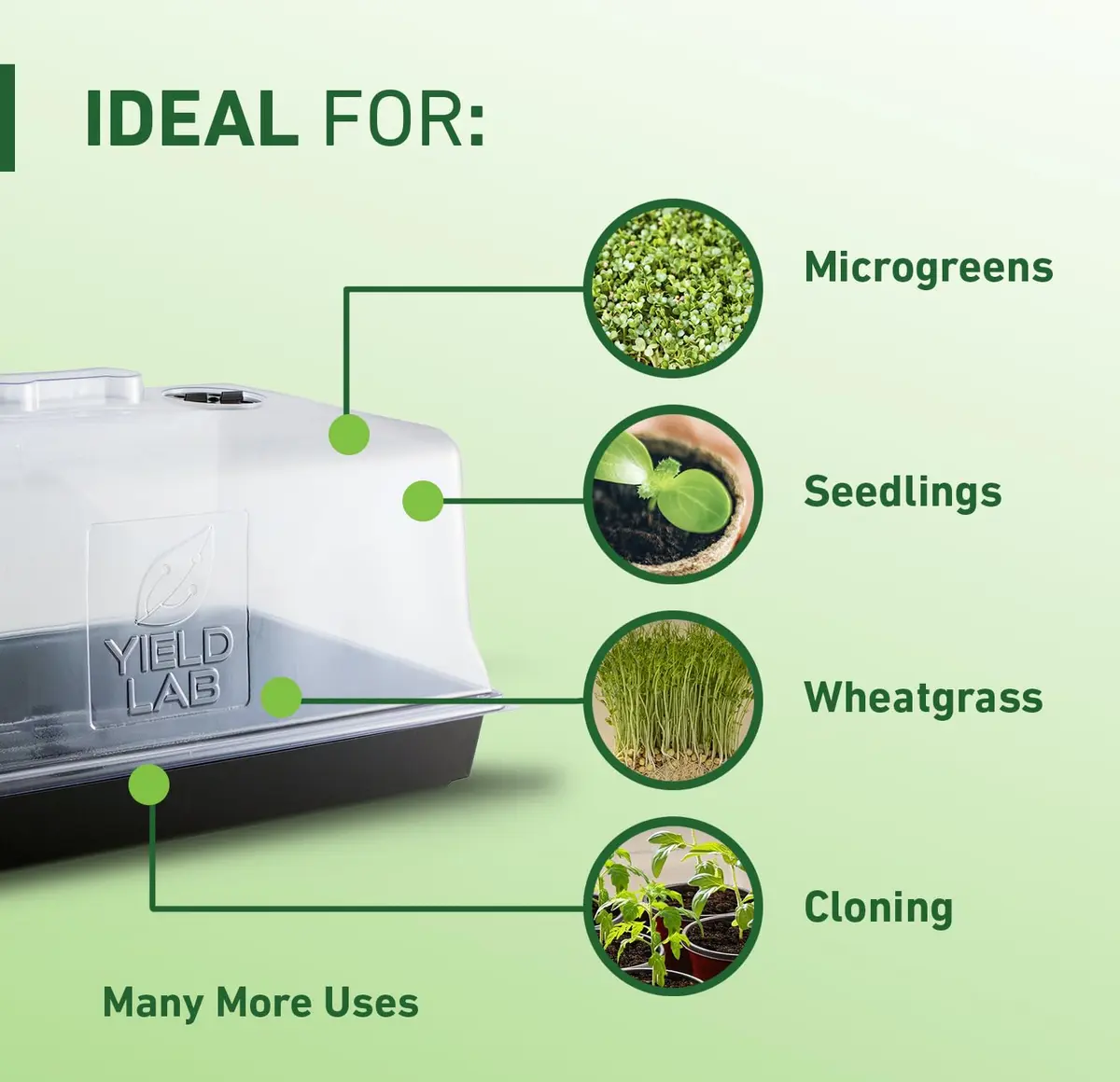 Yield Lab 7 Inch Clone Dome | Humidity Vented Propagation Dome for Plants - view 3