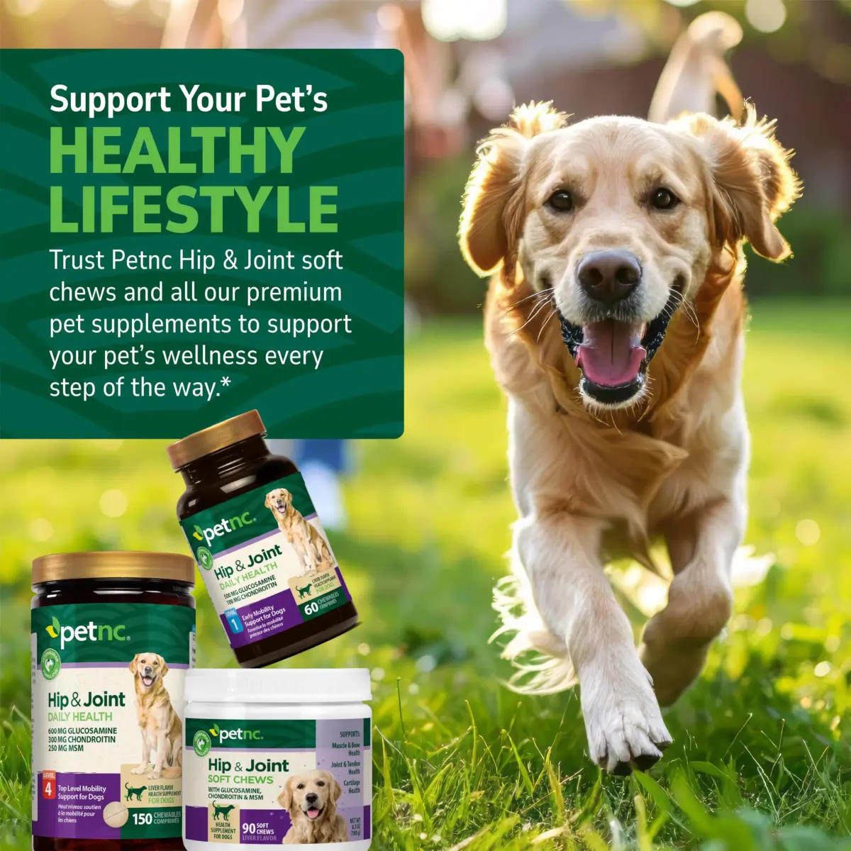 PetNC Natural Care Hip and Joint Soft Chews for Dogs, 90 Count (2.27 oz / 63 g) | Veterinarian Formulated Mobility Support - view 6