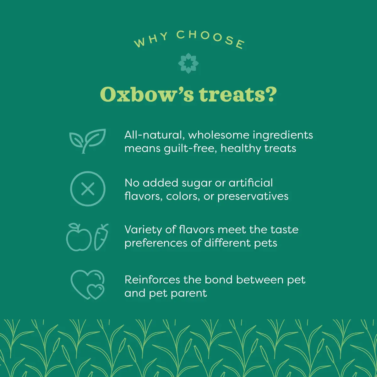 Oxbow Simple Rewards Guinea Pig & Rabbit Treats, Cranberry, Baked, 3 oz | All-Natural Small Animal Snack - view 3