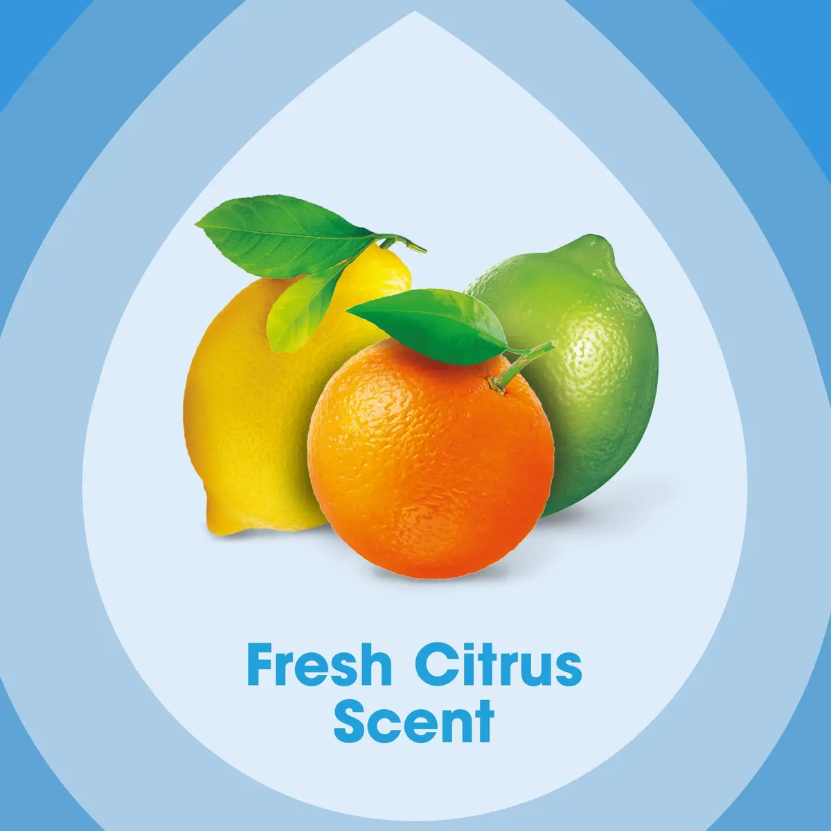 Pledge pH Balanced Multi Surface Cleaning Wipes, Fresh Citrus | 25 Ct, Safe & Effective for Indian Homes - view 6