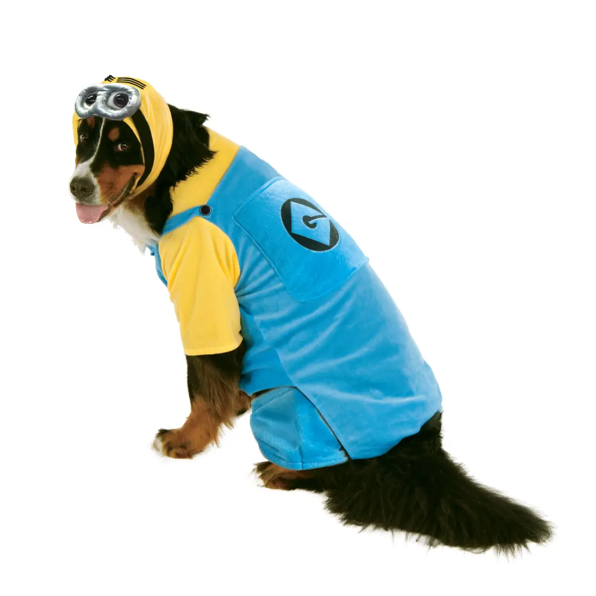 Rubies Minion Pet Costume for Dogs & Cats XXL | Officially Licensed Despicable Me Outfit - main product image
