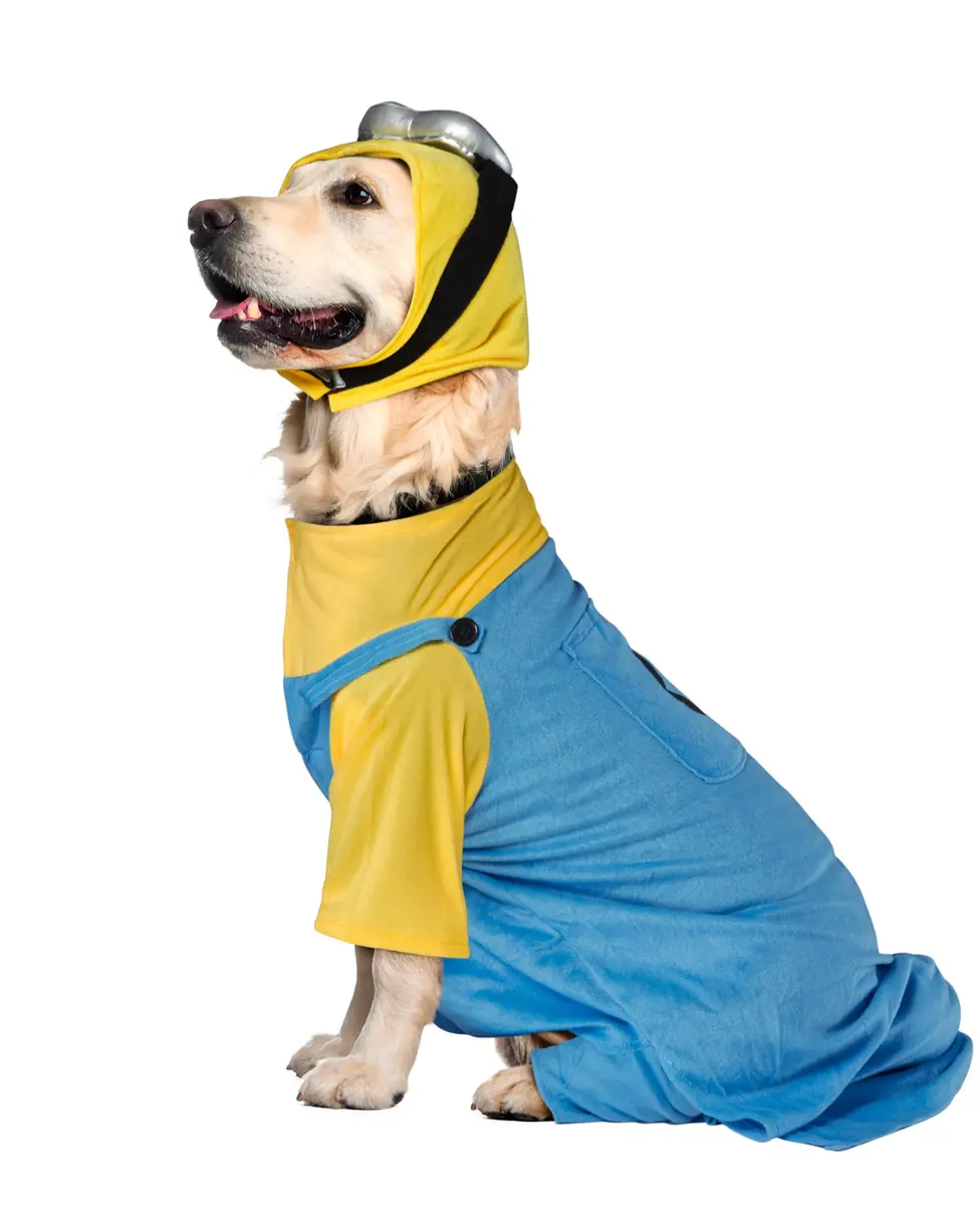 Rubies Minion Pet Costume for Dogs & Cats XXL | Officially Licensed Despicable Me Outfit - view 7