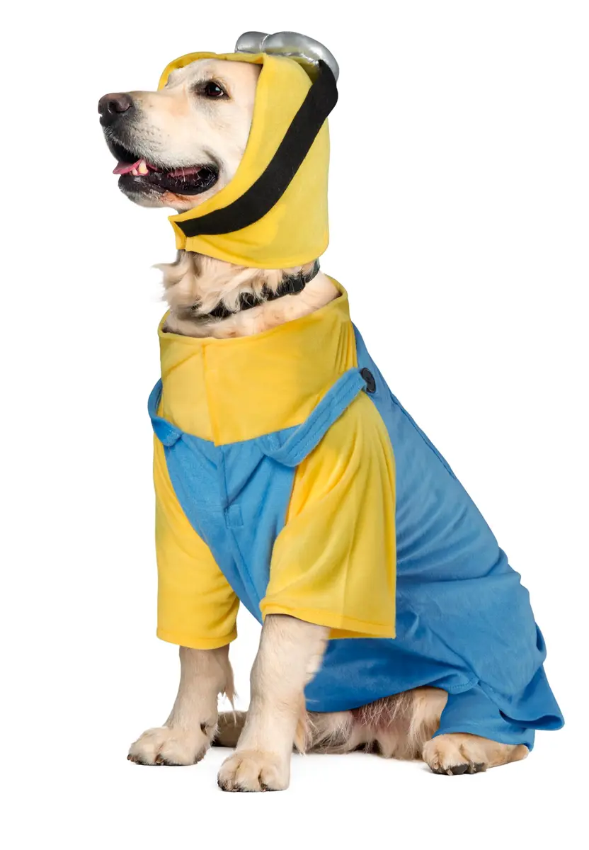 Rubies Minion Pet Costume for Dogs & Cats XXL | Officially Licensed Despicable Me Outfit - view 4
