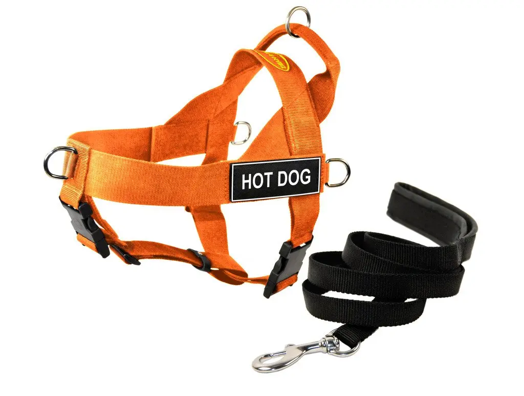Dean & Tyler DT Universal NO Pull Dog Harness with Hot Dog Patches and Six-Foot Padded Puppy Light Leash, X Small, Orange | Adjustable, Weather-Resistant, No-Pull Design - main product image