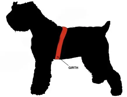Dean & Tyler DT Universal NO Pull Dog Harness with Hot Dog Patches and Six-Foot Padded Puppy Light Leash, X Small, Orange | Adjustable, Weather-Resistant, No-Pull Design - view 2