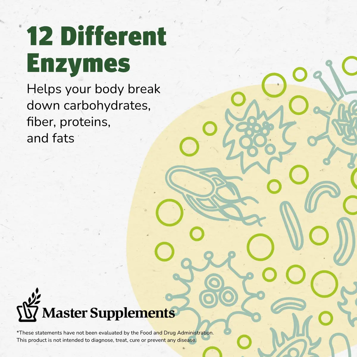 ENZALASE Probiotic Enzymes 50 Capsules | Digestive Boost & Gas Relief, Gluten Free, 150 Servings - view 5