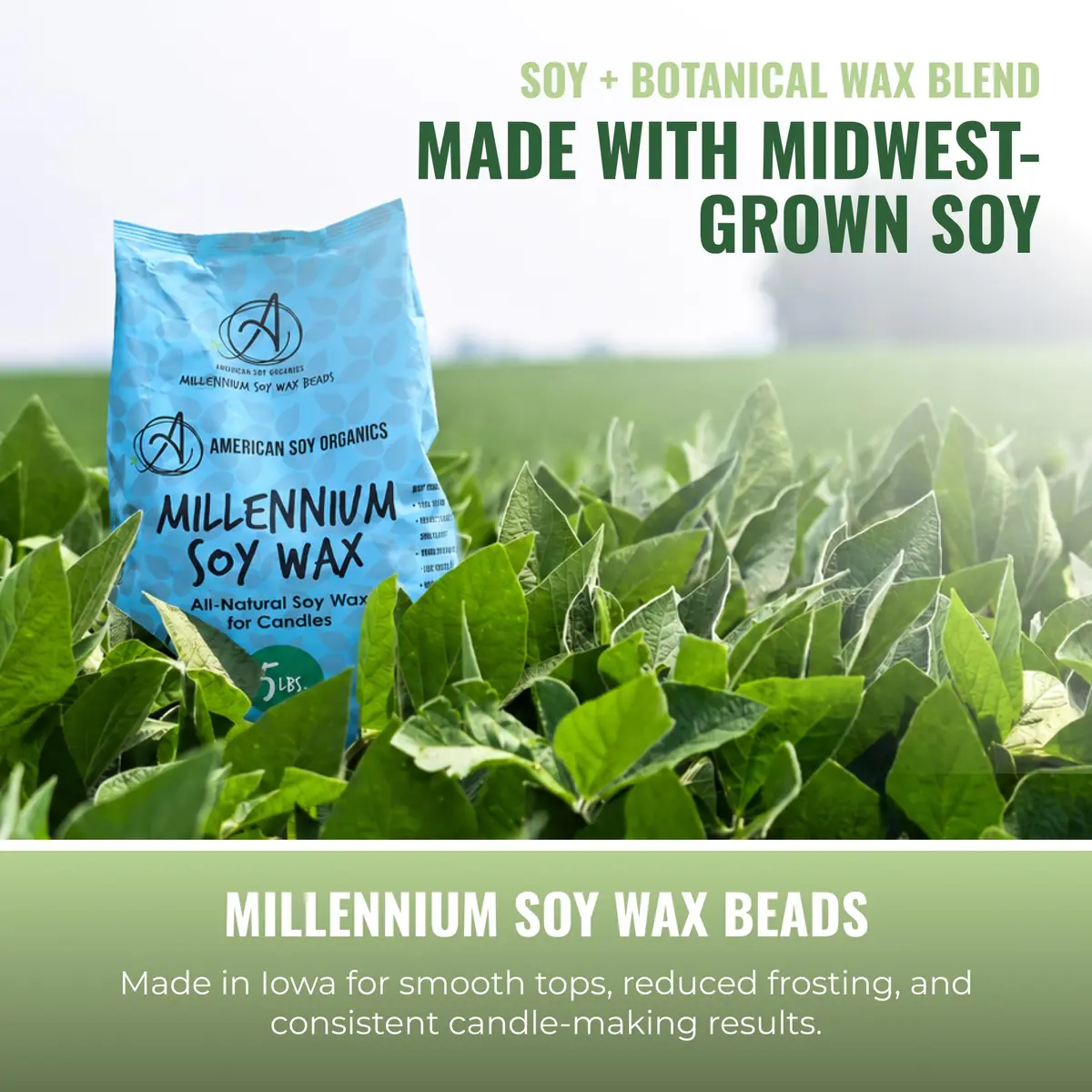 American Soy Organics Millennium Soy Wax Beads 5 lbs | Paraffin-Free Candle Wax for Home & Small Batch Crafts - view 5