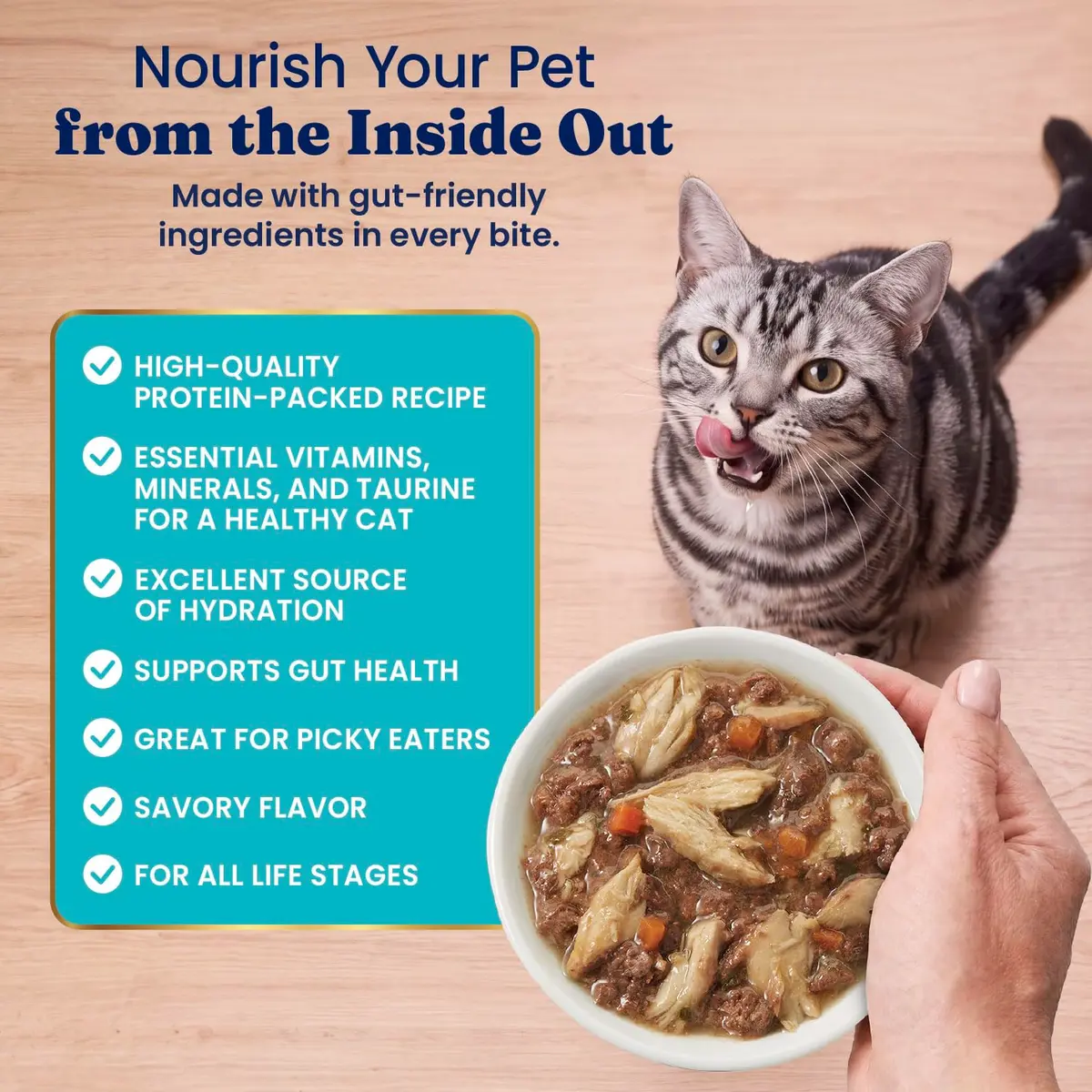 Solid Gold Wet Cat & Kitten Food, Mackerel & Tuna Shreds in Gravy, 24ct | Grain-Free, Holistic Nutrition for Cats & Kittens - view 5