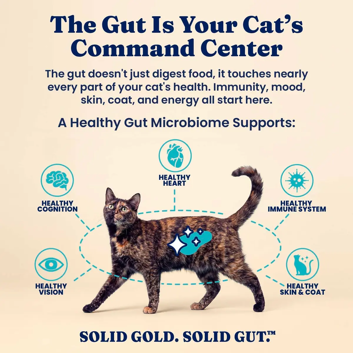 Solid Gold Wet Cat & Kitten Food, Mackerel & Tuna Shreds in Gravy, 24ct | Grain-Free, Holistic Nutrition for Cats & Kittens - view 8