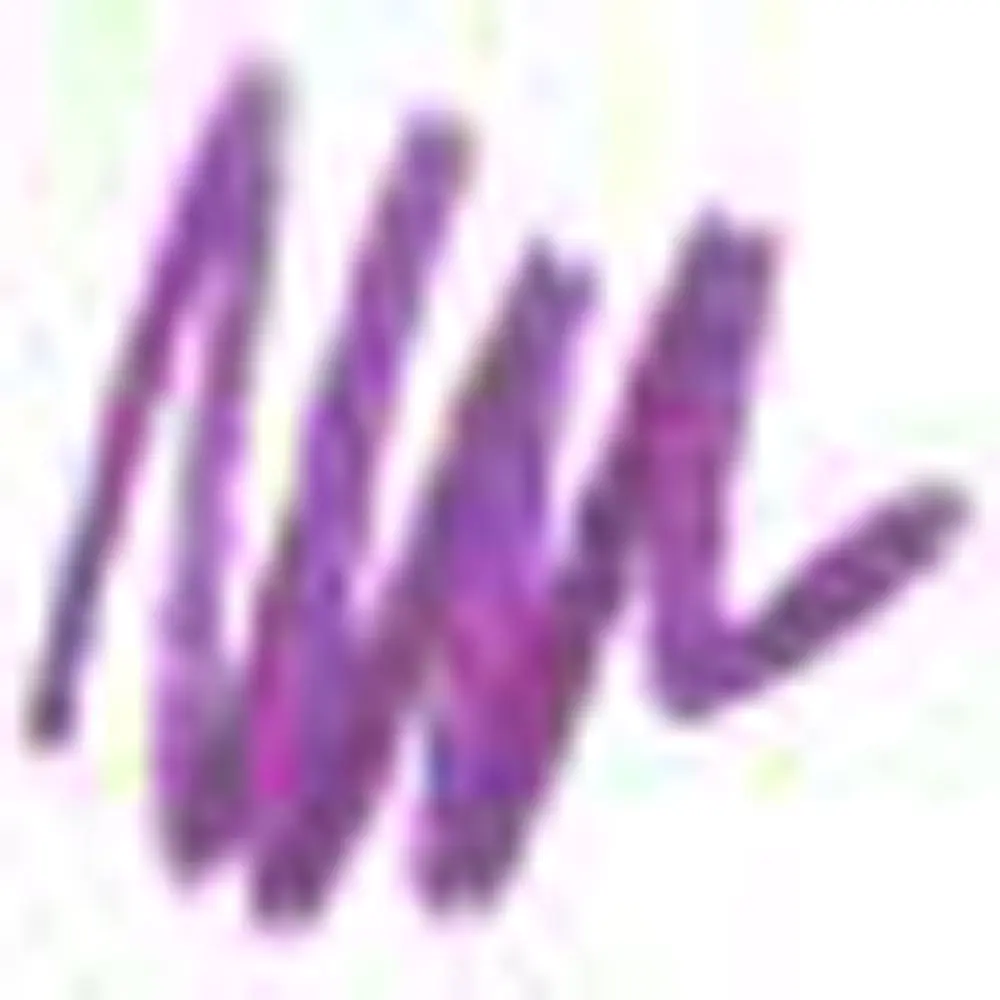 NICKA K NEW YORK Auto Lip Liner Pencil Dark Orchid AA36 | Cream Finish - view 2