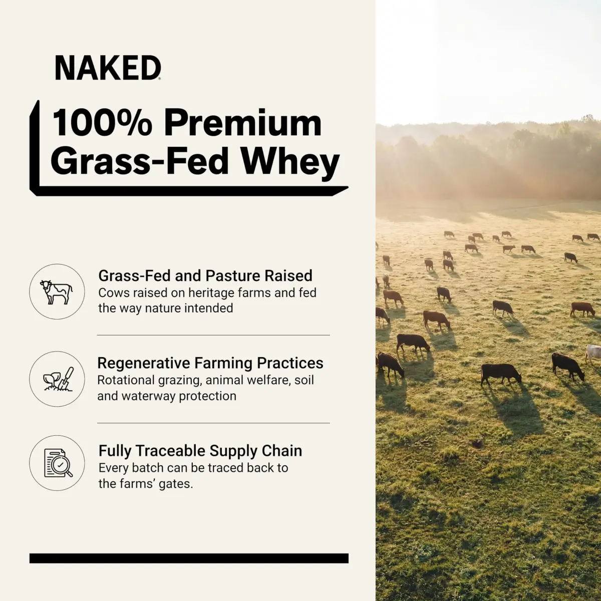 NAKED Whey Protein Powder 2 lb (907 g) | NSF Certified Grass-Fed Unflavored Protein - view 2