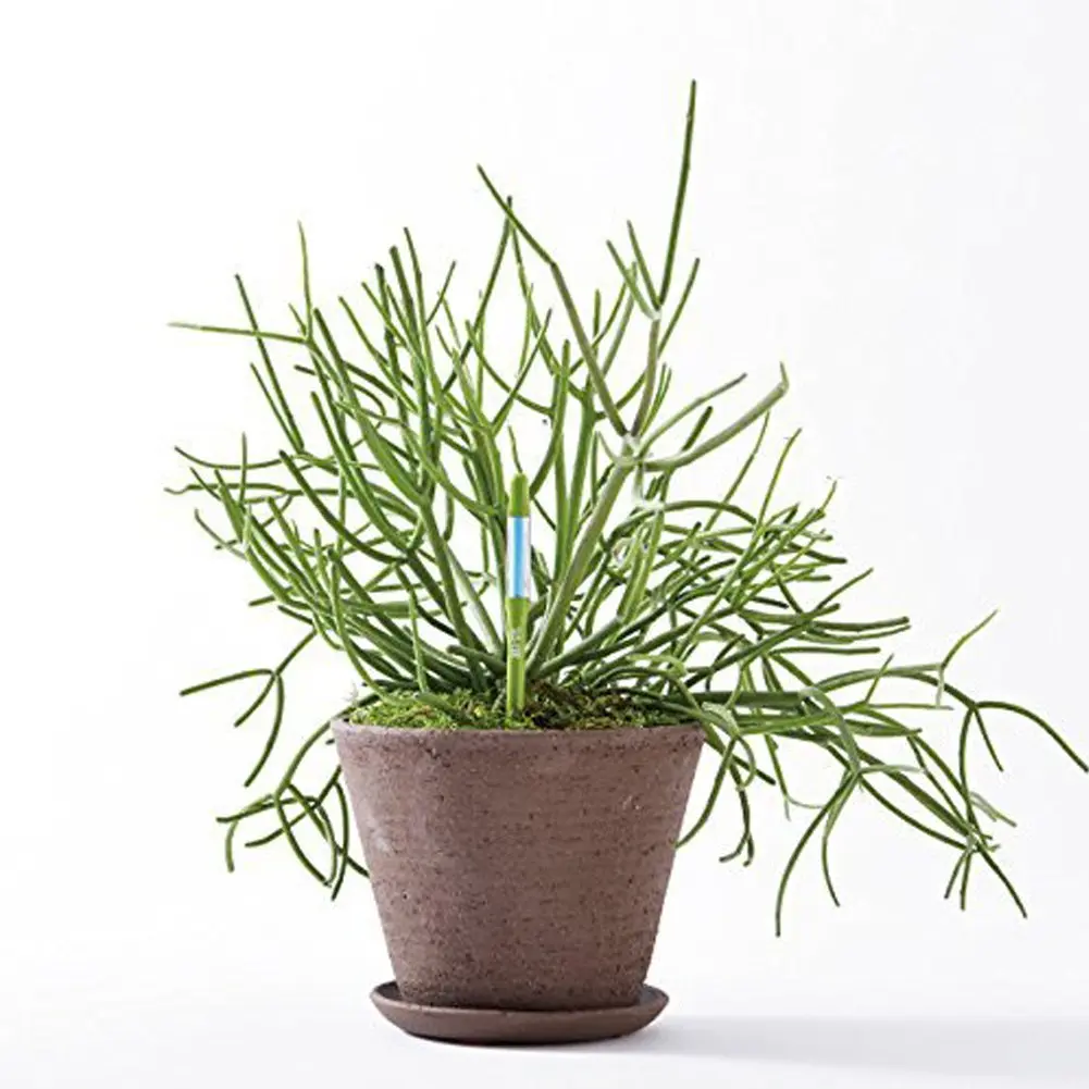 IPPINKA SUStee Aquameter Soil Moisture Meter Large | Award-Winning Japanese Design - view 5