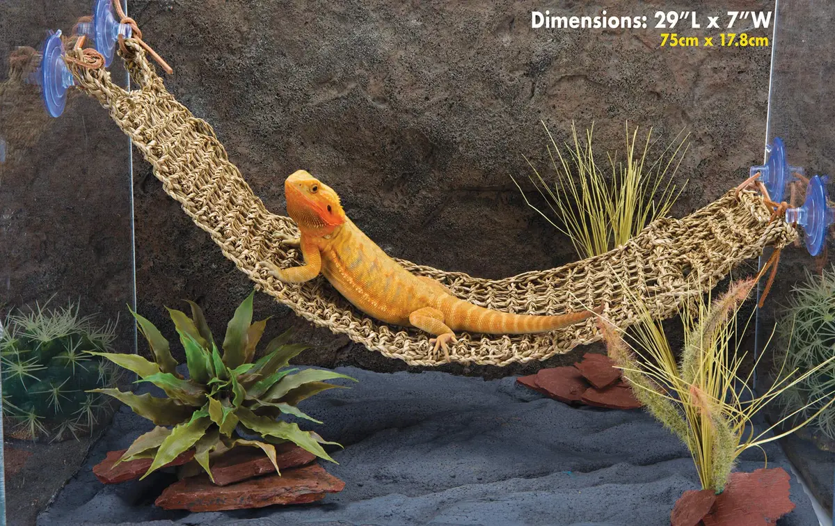 Penn-Plax Reptology Lizard Lounger Extra Large | Natural Seagrass Reptile Perch for Bearded Dragons, Geckos & More - view 2